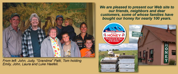 haefeli honey collage
