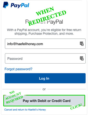 paypal no account
