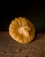 Beeswax Bee