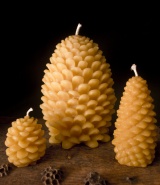 Beeswax Pinecones