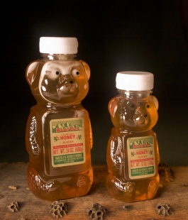 Honey Bear 1